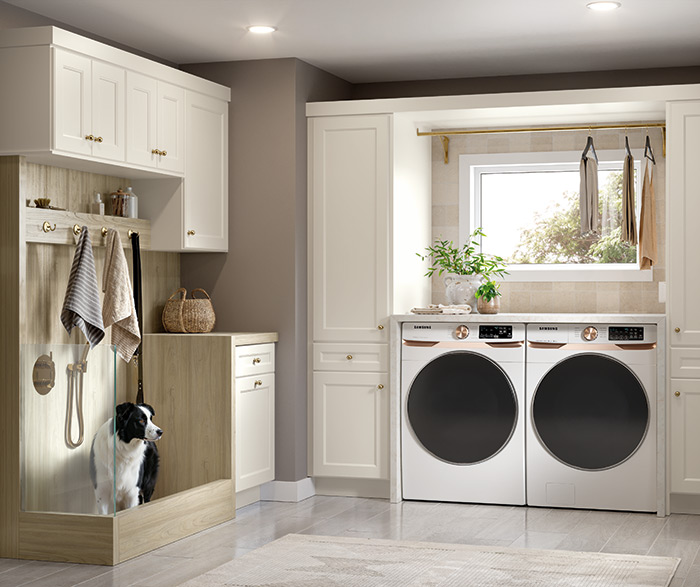 Utility Laundry Room with Dog Wash Station