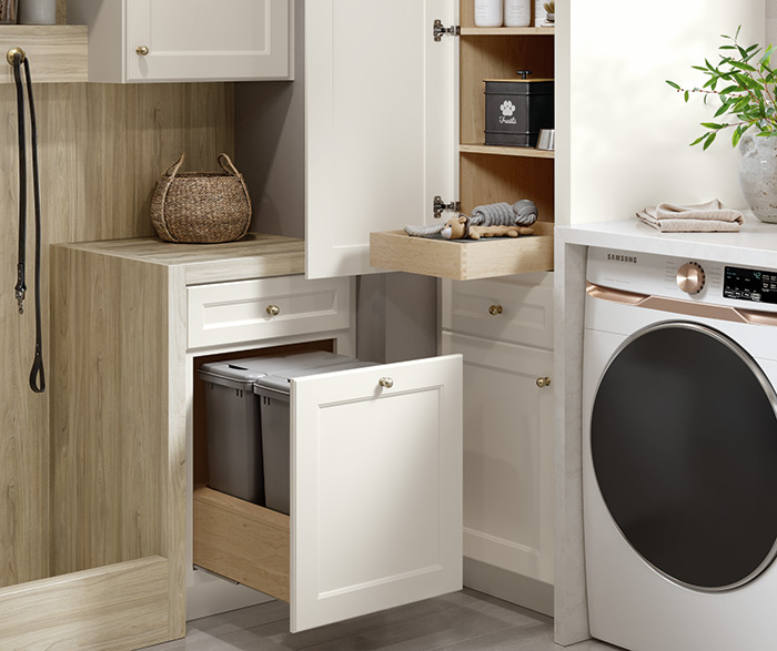 Utility Laundry Room with Dog Wash Station